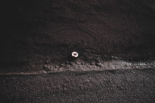 NASA’s Perseverance Rover Captures Selfie After Grinding Martian Rock NASA’s Perseverance Rover Captures Selfie After Grinding Martian Rock