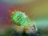 Scientists Capture 3D View of Killer T Cells Attacking Cancer Scientists Capture View Killer Cells Attacking