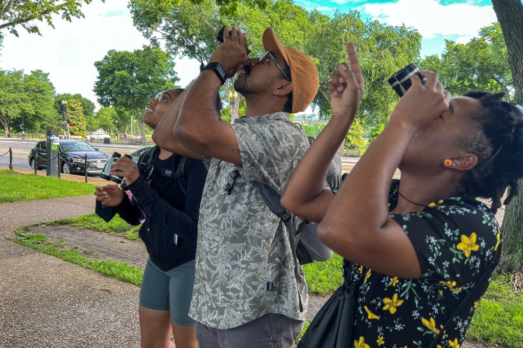 Birders Confirm Spring and Fall Migrations as Prime Viewing Seasons