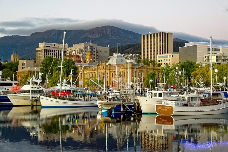 Neil’s Annual Return Highlights Molting Season in Hobart