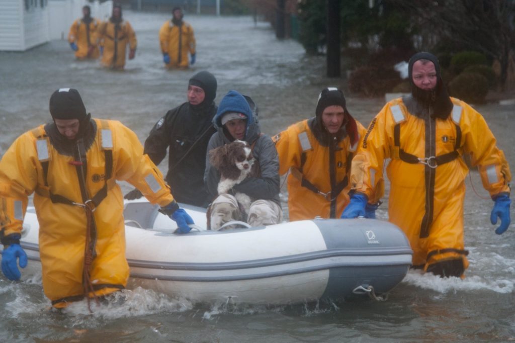New Law Ensures Pet Safety in Fires, Storms, Disasters