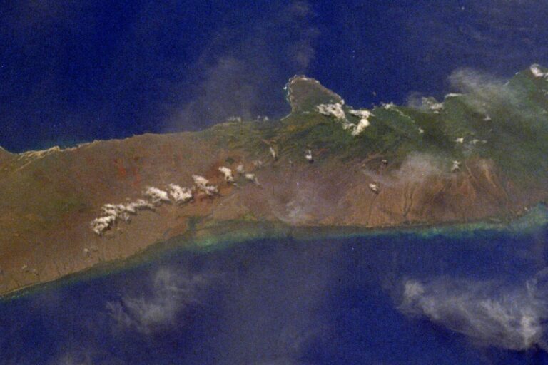 How the Molokai Community Veterinary Hui Manages Stray Care Without Resident Vets