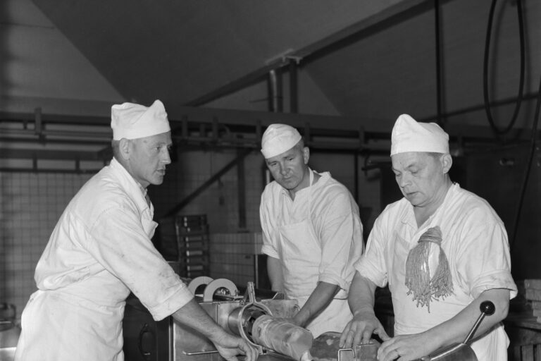 Food Safety Explained: How Temperature Abuse Enables Pathogen Growth in Meat